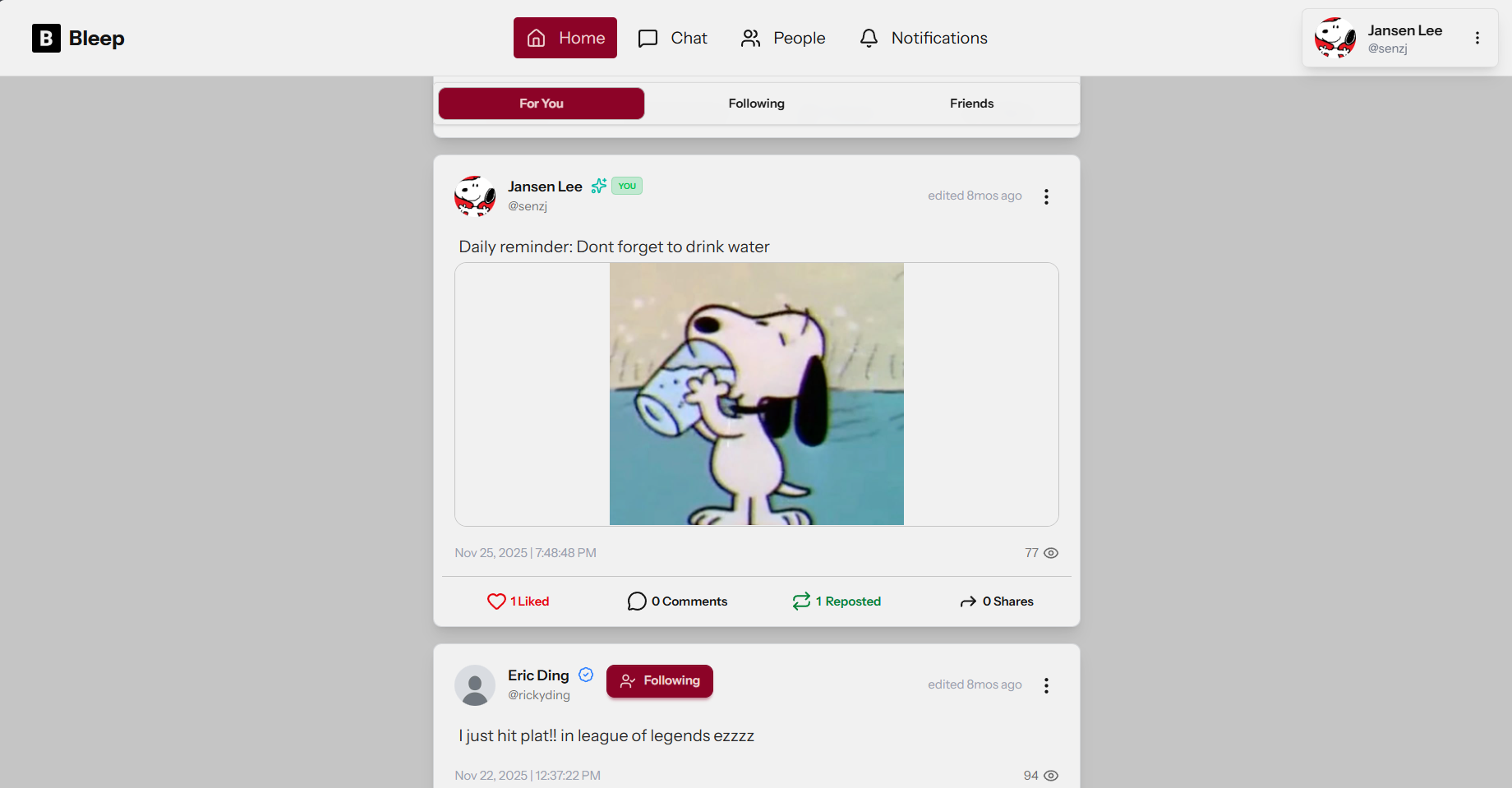 Bleep screenshot